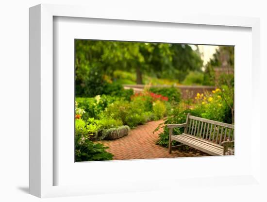 Chicago Botanic Garden Bench-Steve Gadomski-Framed Photographic Print