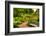 Chicago Botanic Garden Bench-Steve Gadomski-Framed Photographic Print