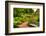 Chicago Botanic Garden Bench-Steve Gadomski-Framed Photographic Print