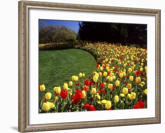 Chicago Botanic Garden, Illinois, USA-null-Framed Photographic Print