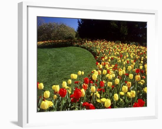 Chicago Botanic Garden, Illinois, USA-null-Framed Photographic Print