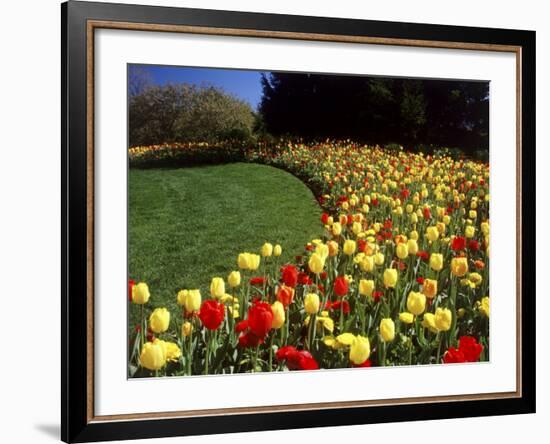 Chicago Botanic Garden, Illinois, USA-null-Framed Photographic Print