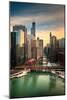 Chicago City View Afternoon-Steve Gadomski-Mounted Photographic Print