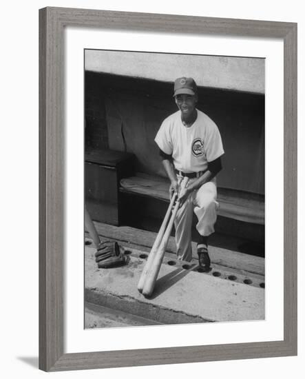 Chicago Cub's Ernie Banks, Stooping in the Dug-Out Holding Two Bats Against Cincinnati Reds-John Dominis-Framed Premium Photographic Print