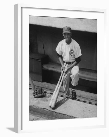 Chicago Cub's Ernie Banks, Stooping in the Dug-Out Holding Two Bats Against Cincinnati Reds-John Dominis-Framed Premium Photographic Print