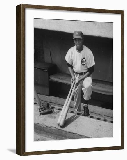 Chicago Cub's Ernie Banks, Stooping in the Dug-Out Holding Two Bats Against Cincinnati Reds-John Dominis-Framed Premium Photographic Print