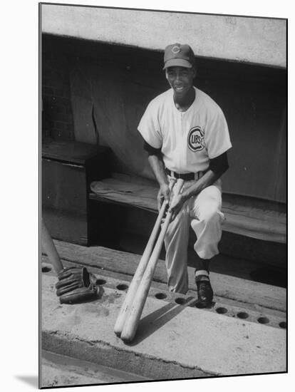 Chicago Cub's Ernie Banks, Stooping in the Dug-Out Holding Two Bats Against Cincinnati Reds-John Dominis-Mounted Premium Photographic Print