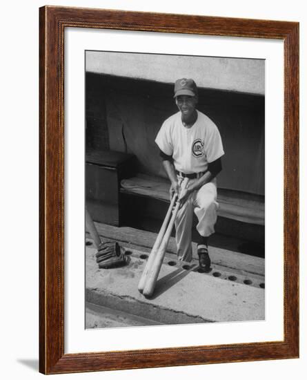 Chicago Cub's Ernie Banks, Stooping in the Dug-Out Holding Two Bats Against Cincinnati Reds-John Dominis-Framed Premium Photographic Print