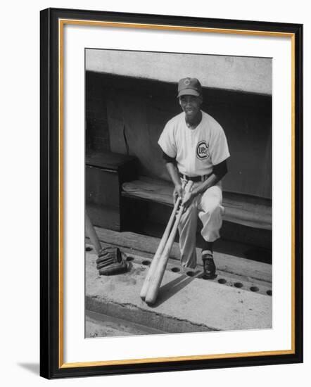 Chicago Cub's Ernie Banks, Stooping in the Dug-Out Holding Two Bats Against Cincinnati Reds-John Dominis-Framed Premium Photographic Print