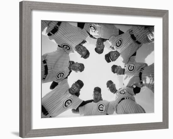 Chicago Cubs' Eight Coaches-Francis Miller-Framed Premium Photographic Print