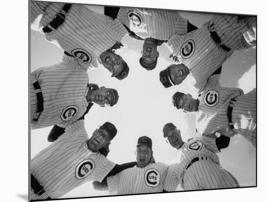 Chicago Cubs' Eight Coaches-Francis Miller-Mounted Premium Photographic Print