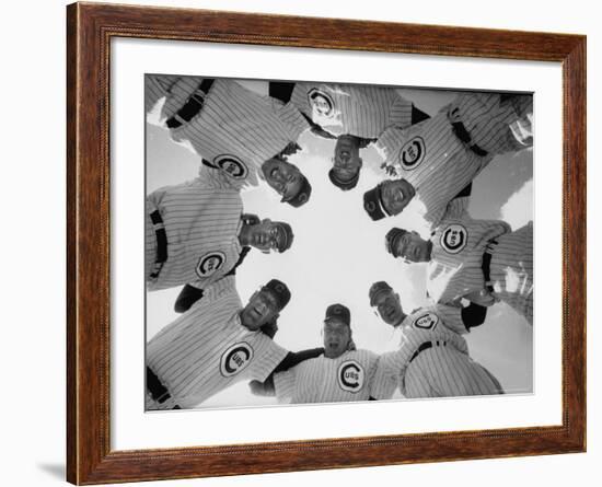 Chicago Cubs' Eight Coaches-Francis Miller-Framed Premium Photographic Print