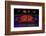 Chicago Cubs Win Fireworks Night-Steve Gadomski-Framed Photographic Print