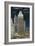 Chicago, Illinois, Exterior View of an Illuminated Tribune Tower at Night-Lantern Press-Framed Art Print