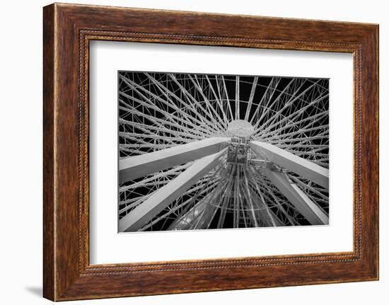 Chicago, Illinois. Ferris Wheel at Navy Pier on Lake Michigan-Rona Schwarz-Framed Photographic Print