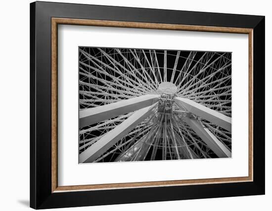 Chicago, Illinois. Ferris Wheel at Navy Pier on Lake Michigan-Rona Schwarz-Framed Photographic Print