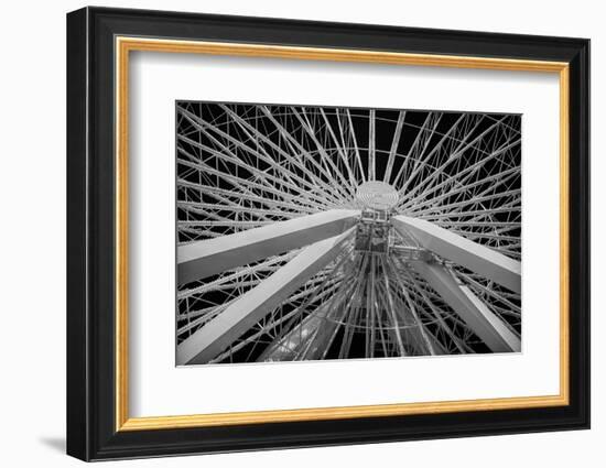 Chicago, Illinois. Ferris Wheel at Navy Pier on Lake Michigan-Rona Schwarz-Framed Photographic Print