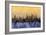 Chicago Illinois Skyline-Michael Tompsett-Framed Art Print