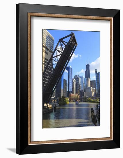 Chicago River and Downtown Towers, Willis Tower, Chicago, Illinois, USA-Amanda Hall-Framed Photographic Print