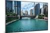 Chicago River View-Bill Carson Photography-Mounted Art Print
