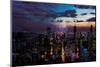 Chicago Skyline-Milli Villa-Mounted Photo