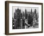 Chicago Skyscrapers in the Early 20th Century-Bettmann-Framed Photographic Print
