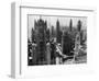Chicago Skyscrapers in the Early 20th Century-Bettmann-Framed Photographic Print