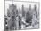 Chicago Skyscrapers in the Early 20Th Century-Bettmann-Mounted Photographic Print