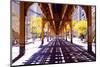 Chicago Street-Elevate Train-null-Mounted Premium Giclee Print