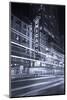 Chicago Theater Marquee In Black & White-Steve Gadomski-Mounted Photographic Print