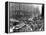 Chicago: Traffic, 1909-Frank M. Hallenbeck-Framed Premier Image Canvas