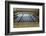 Chicago Union Station.-Jon Hicks-Framed Photographic Print