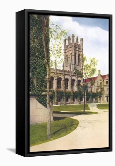 Chicago University-null-Framed Stretched Canvas