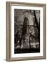 Chicago Water Tower BW-Steve Gadomski-Framed Photographic Print