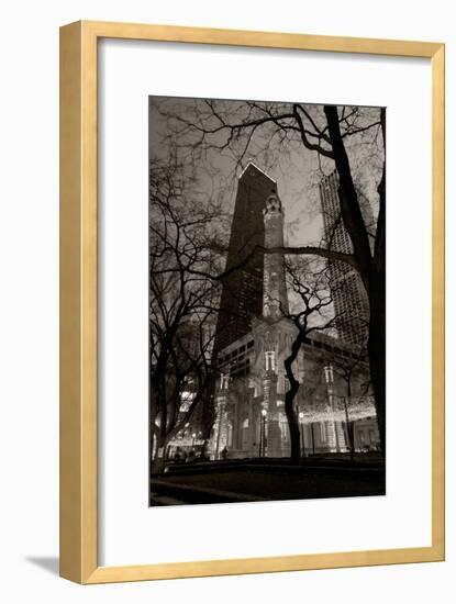 Chicago Water Tower BW-Steve Gadomski-Framed Photographic Print