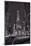 Chicago Water Tower Michigan Avenue BW-Steve Gadomski-Mounted Photographic Print