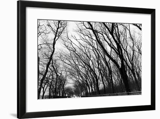 Chicago Winter-CHRSTOCK-Framed Photographic Print
