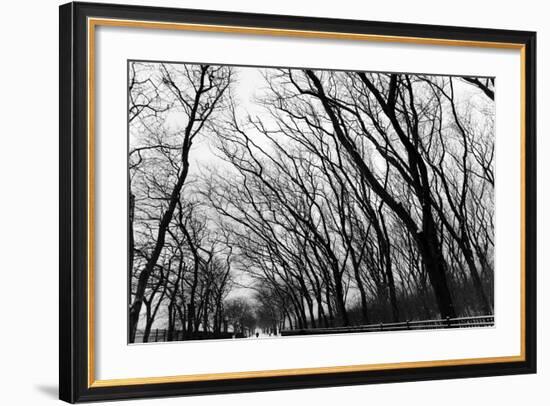 Chicago Winter-CHRSTOCK-Framed Photographic Print