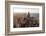 Chicago-Steve Gadomski-Framed Photographic Print