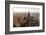 Chicago-Steve Gadomski-Framed Photographic Print