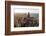 Chicago-Steve Gadomski-Framed Photographic Print