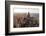 Chicago-Steve Gadomski-Framed Photographic Print