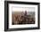 Chicago-Steve Gadomski-Framed Photographic Print