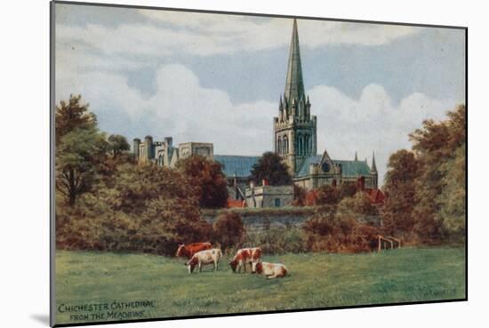 Chichester, Cathedral, from the Meadows-Alfred Robert Quinton-Mounted Giclee Print