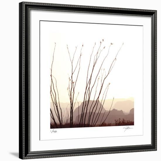 Chichuahuan 1-Ken Bremer-Framed Limited Edition