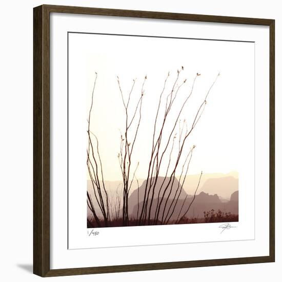 Chichuahuan 1-Ken Bremer-Framed Limited Edition