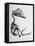 Chick Embryo Being Enlarged from Twice It's Size-Al Fenn-Framed Premier Image Canvas