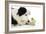 Chick Sitting on Border Collies Paw-null-Framed Photographic Print