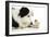 Chick Sitting on Border Collies Paw-null-Framed Photographic Print