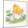 Chick with Egg-Beverly Johnston-Mounted Giclee Print